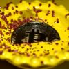 Photo Bitcoin geopolitical conflict