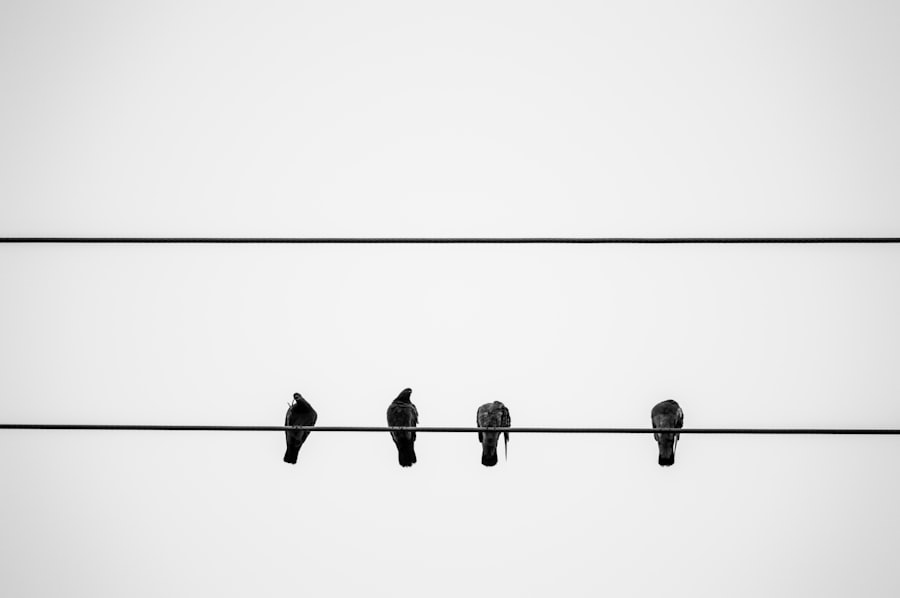 Photo Group dynamics